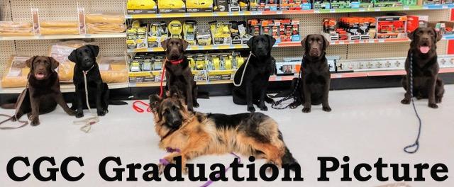 Grad