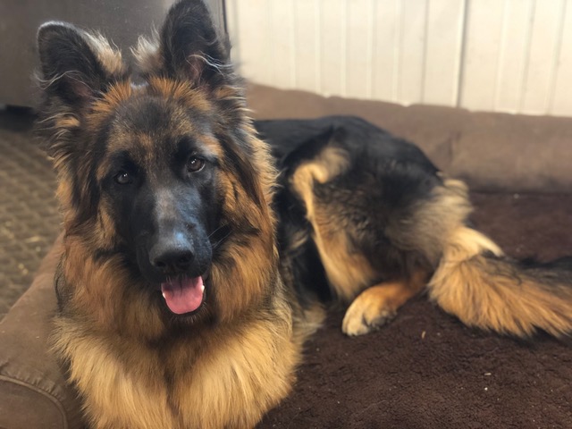 7 mo